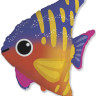 Шар (25''/64 см) Фигура, Тропическая рыбка, 1 шт.